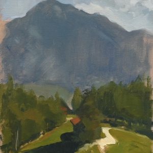 View on the Bavarian Alps