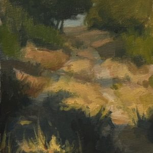 Pathway through the Tuscan olive trees