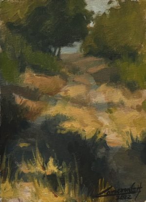 Pathway through the Tuscan olive trees