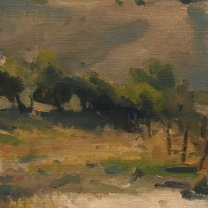 Evening in the Tuscan countryside
