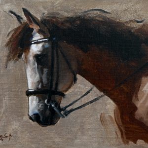 Horse Profile