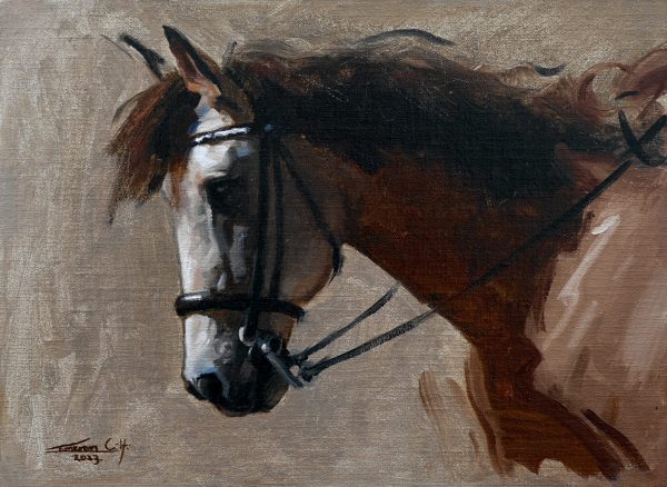Horse Profile
