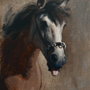Funny Horse