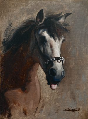 Funny Horse