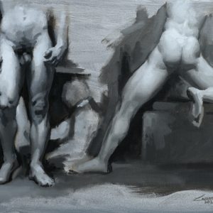 Male Anatomy Study