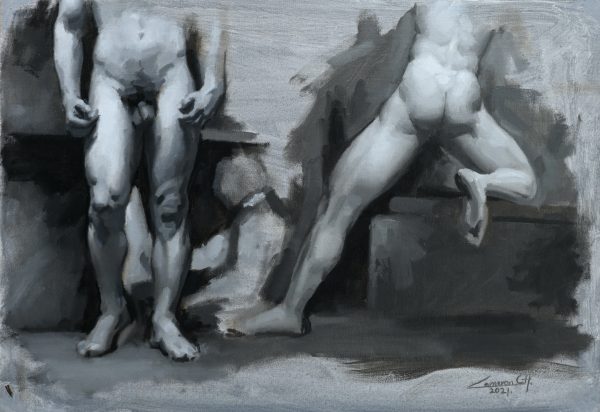 Male Anatomy Study