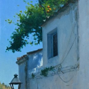 Orange tree in Montoro