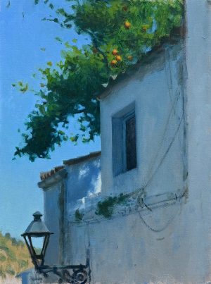 Orange tree in Montoro